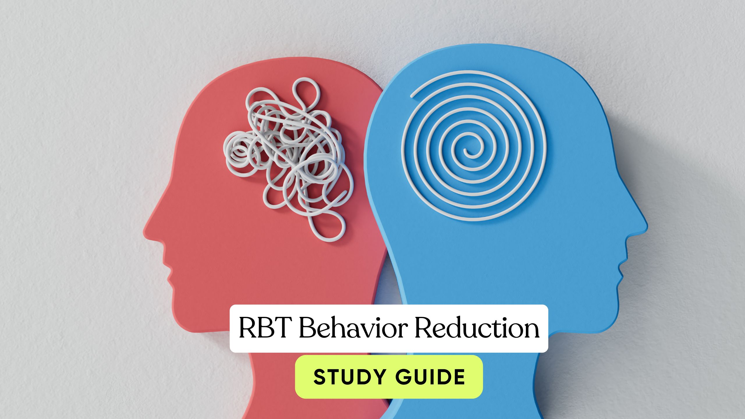 rbt behavior reduction study guide